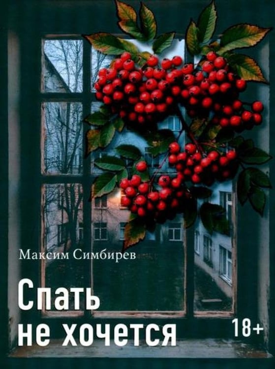 Дополнительное изображение книги «Спать не хочется»