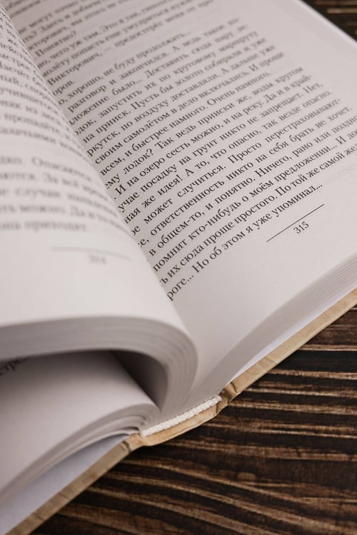 Дополнительное изображение книги «Лётчик-2»