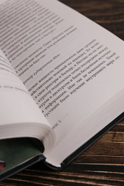Дополнительное изображение книги «Empire V»