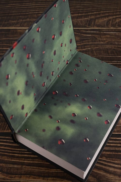 Дополнительное изображение книги «Empire V»