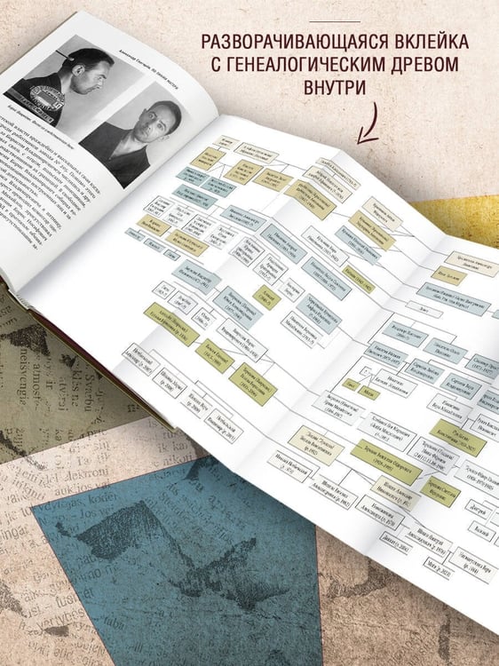 Дополнительное изображение книги «По линии матери»