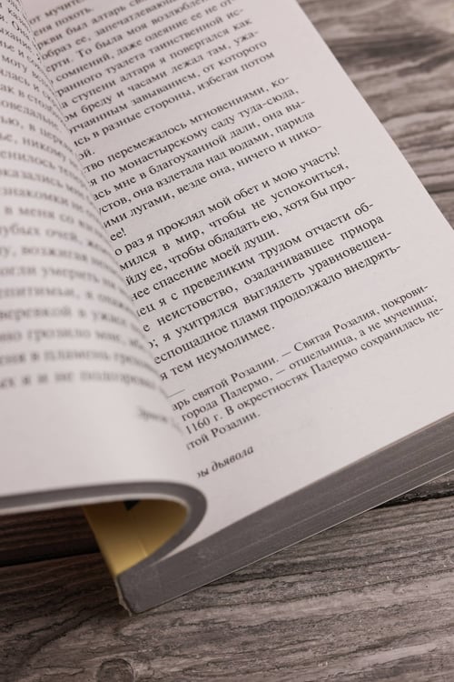 Дополнительное изображение книги «Эликсиры дьявола»