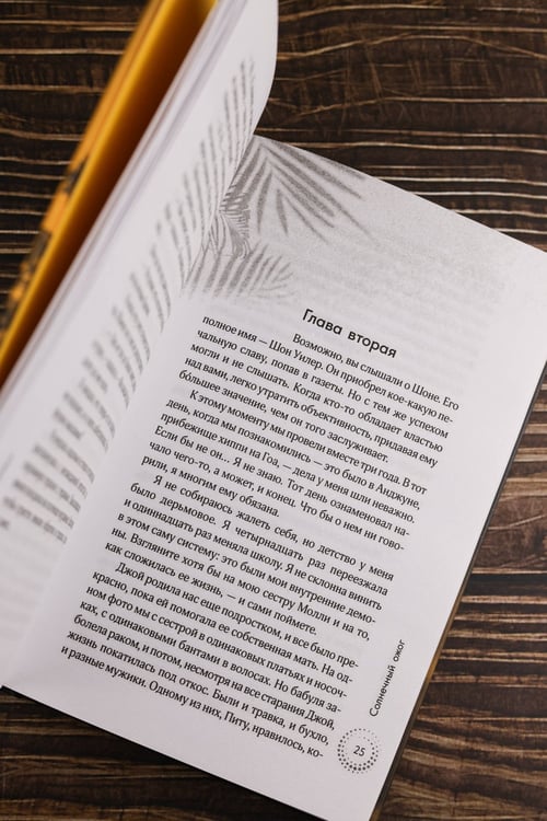 Дополнительное изображение книги «Солнечный ожог»
