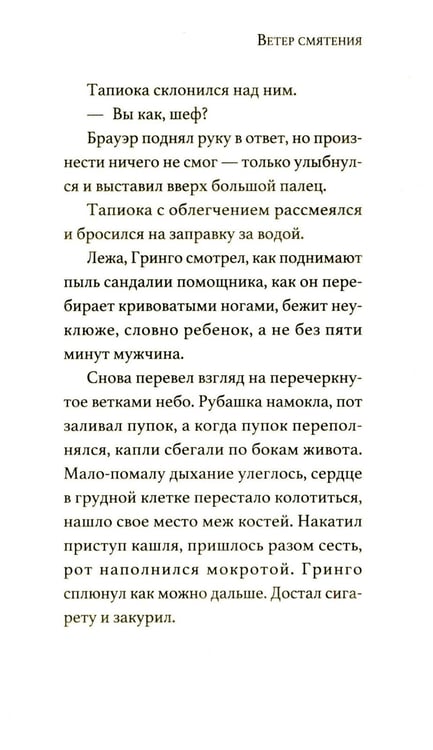 Дополнительное изображение книги «Ветер смятения»
