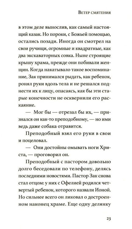 Дополнительное изображение книги «Ветер смятения»
