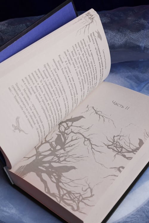 Дополнительное изображение книги «Сказ о Владе-вороне»