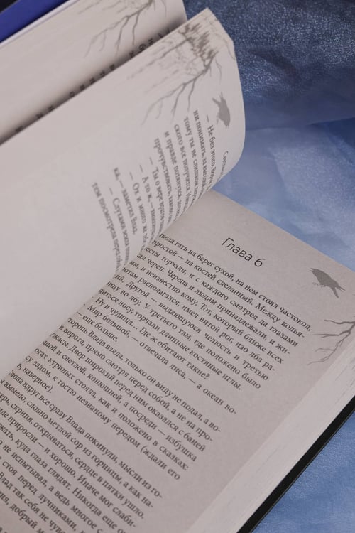 Дополнительное изображение книги «Сказ о Владе-вороне»