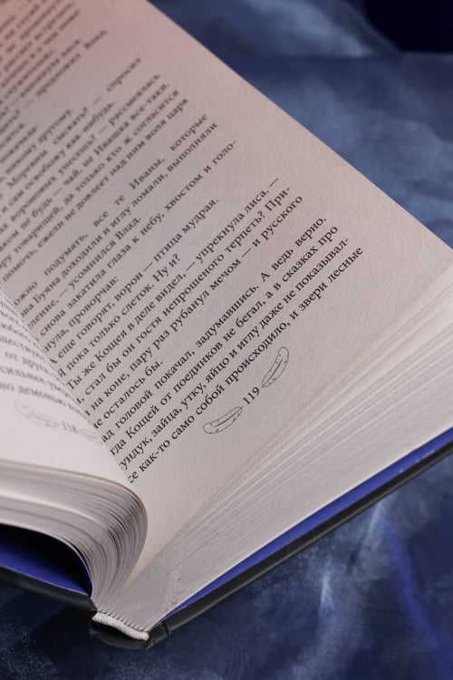 Дополнительное изображение книги «Сказ о Владе-вороне»