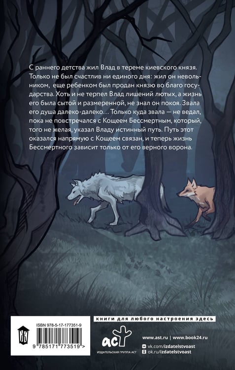 Дополнительное изображение книги «Сказ о Владе-вороне»