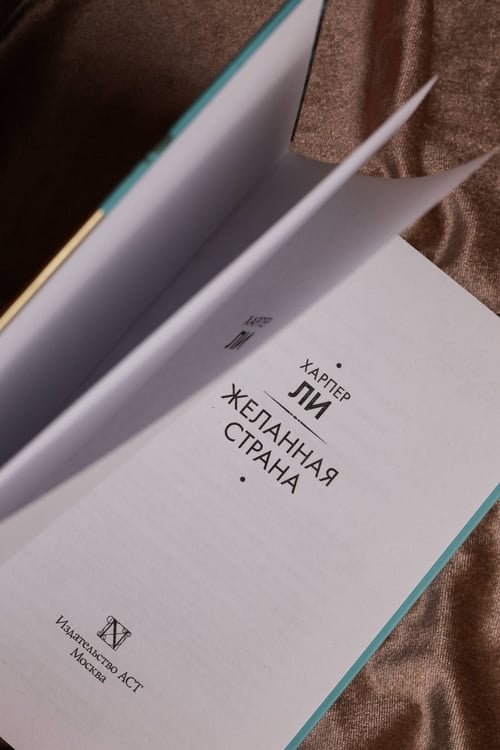 Дополнительное изображение книги «Желанная страна»