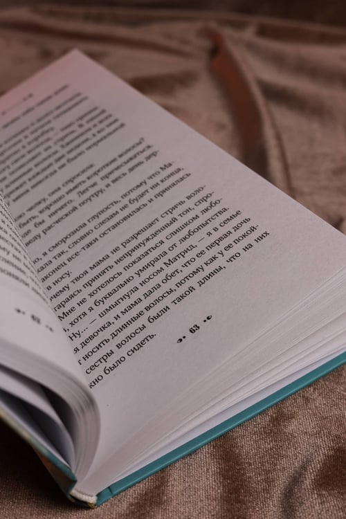 Дополнительное изображение книги «Желанная страна»