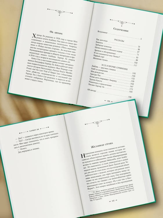 Дополнительное изображение книги «Желанная страна»
