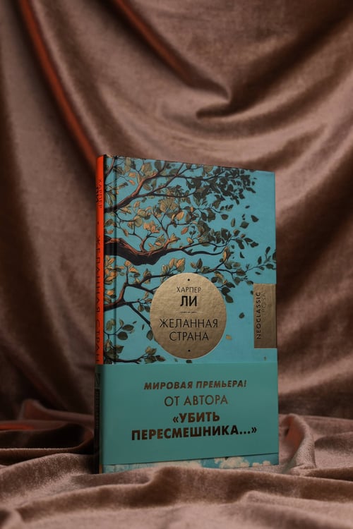 Дополнительное изображение книги «Желанная страна»