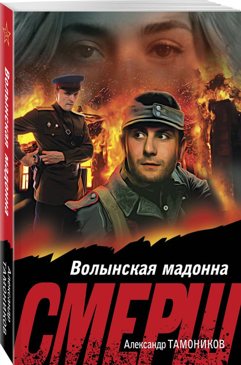 Дополнительное изображение книги «Волынская мадонна»