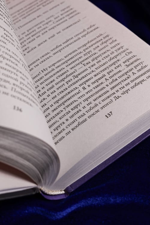 Дополнительное изображение книги «Дрянь с историей»