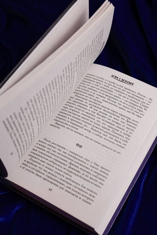 Дополнительное изображение книги «Дрянь с историей»