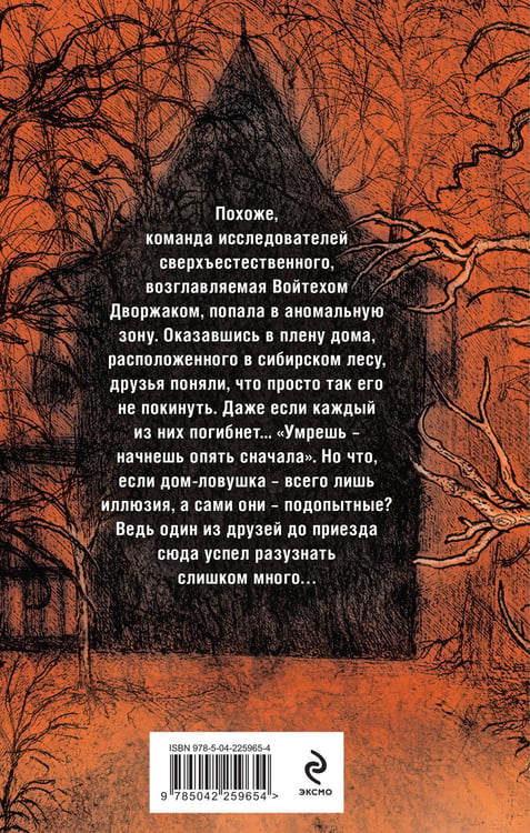 Дополнительное изображение книги «Дорога несбывшихся снов»