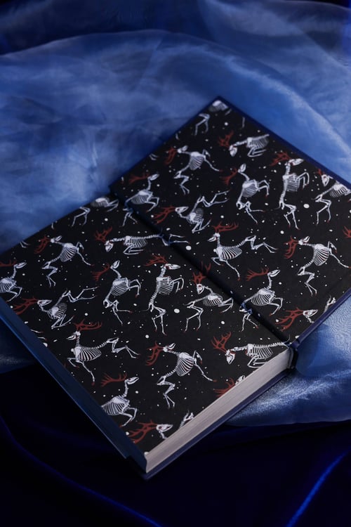 Дополнительное изображение книги «Ледяная ночь. 31 история для жутких вечеров»