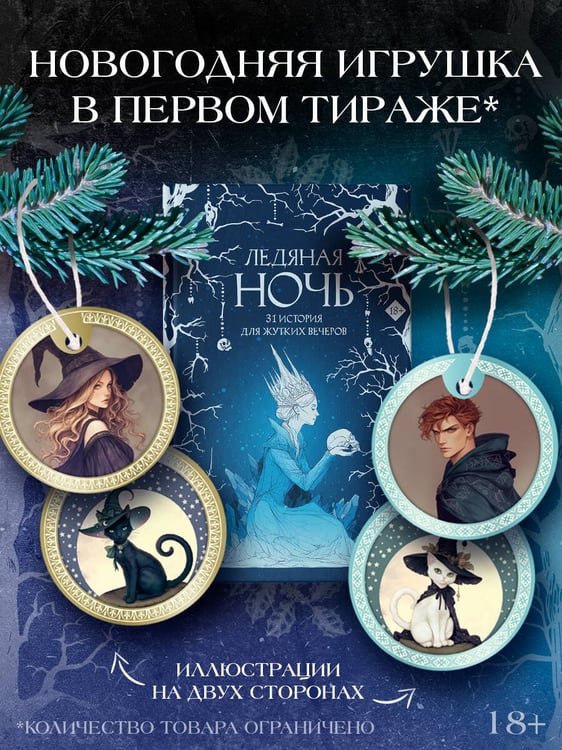 Дополнительное изображение книги «Ледяная ночь. 31 история для жутких вечеров»