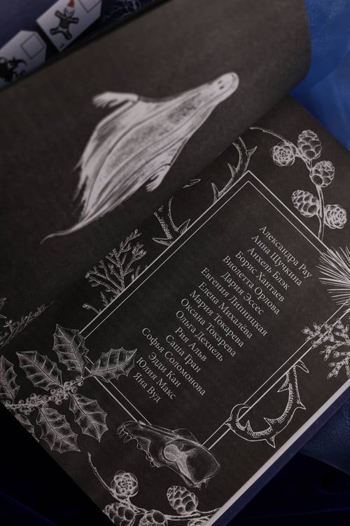 Дополнительное изображение книги «Ледяная ночь. 31 история для жутких вечеров»