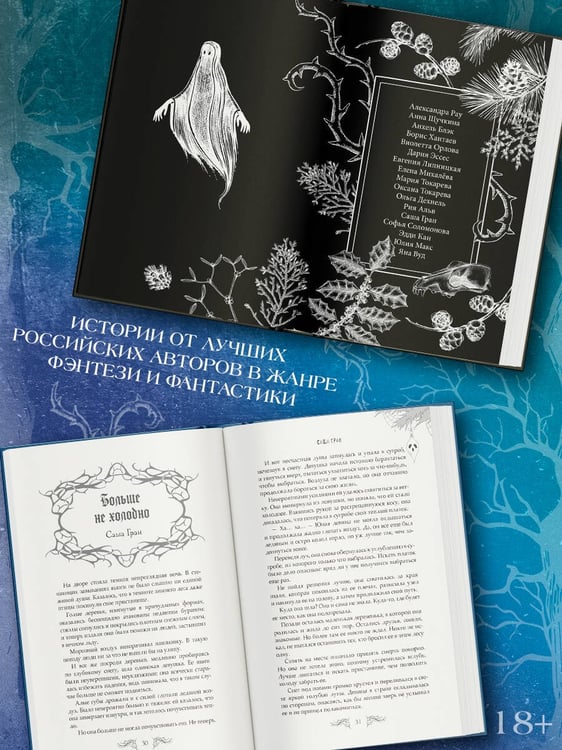Дополнительное изображение книги «Ледяная ночь. 31 история для жутких вечеров»