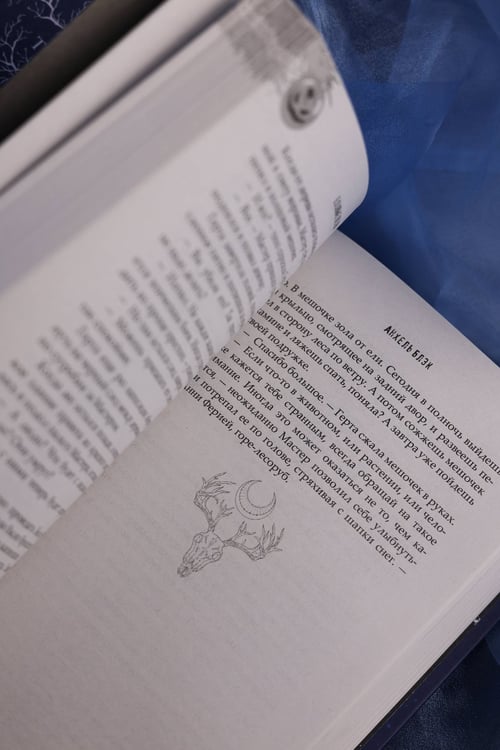 Дополнительное изображение книги «Ледяная ночь. 31 история для жутких вечеров»