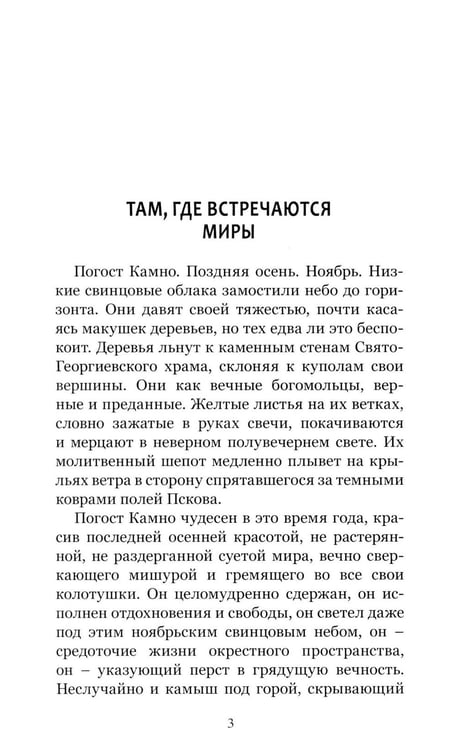 Дополнительное изображение книги «Проповеди»