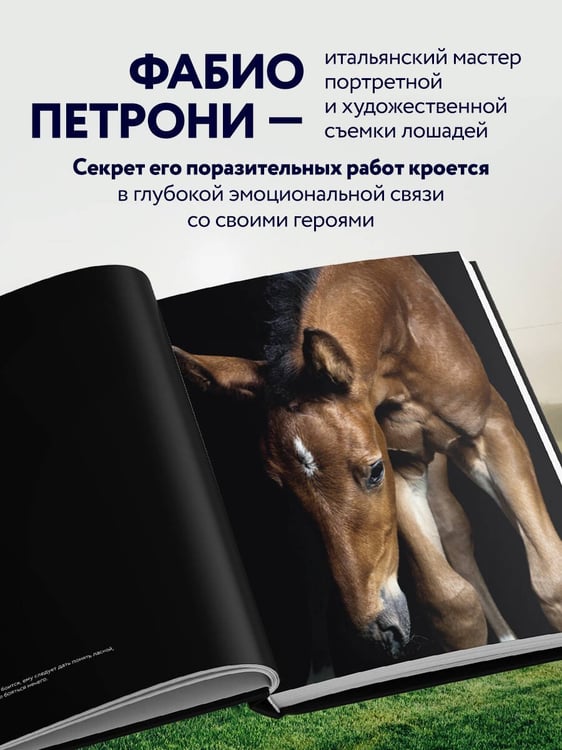 Дополнительное изображение книги «Лошади. Портреты, вдохновленные Рембрандтом. Эксклюзивный фотоальбом»