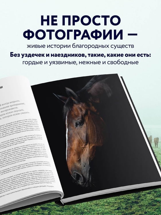 Дополнительное изображение книги «Лошади. Портреты, вдохновленные Рембрандтом. Эксклюзивный фотоальбом»