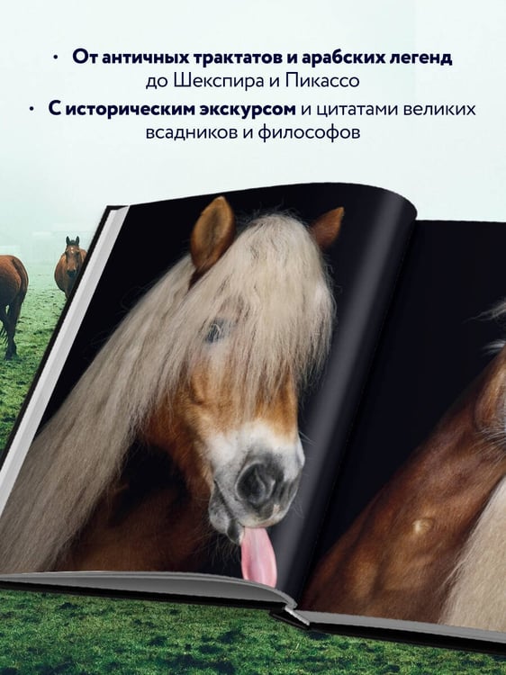 Дополнительное изображение книги «Лошади. Портреты, вдохновленные Рембрандтом. Эксклюзивный фотоальбом»
