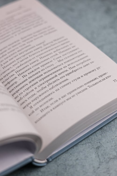 Дополнительное изображение книги «Сиротский приют у озера»