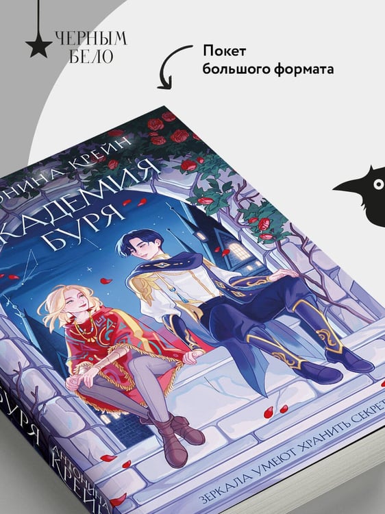 Дополнительное изображение книги «Шолох. Академия Буря»