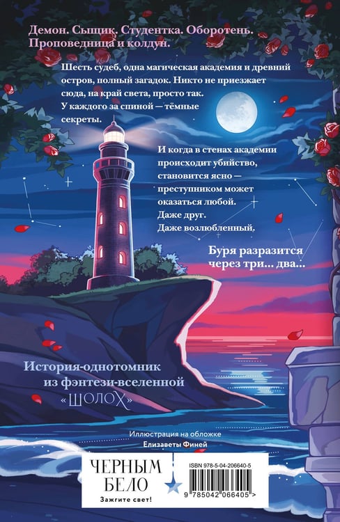 Дополнительное изображение книги «Шолох. Академия Буря»