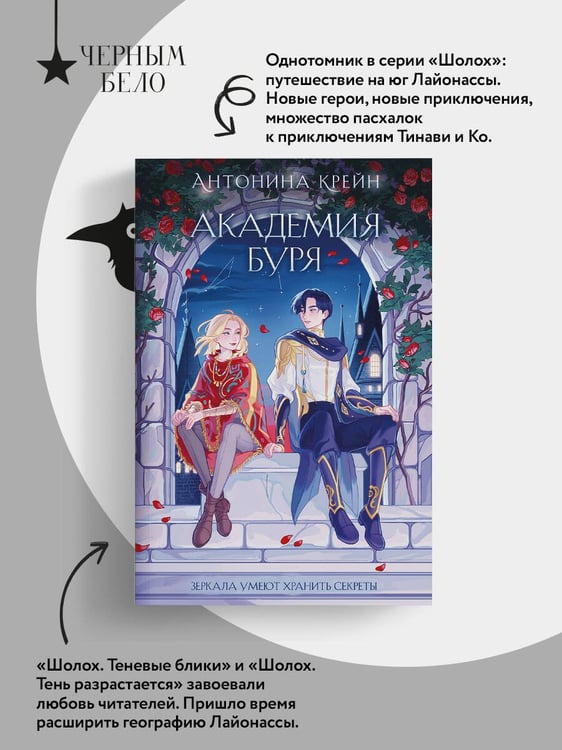 Дополнительное изображение книги «Шолох. Академия Буря»