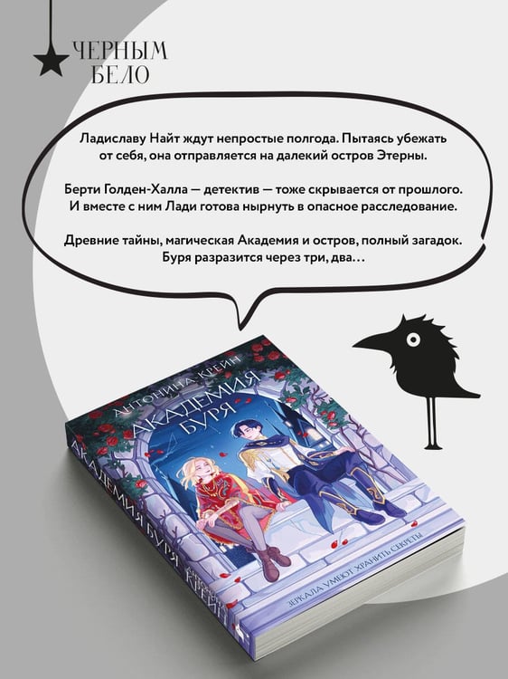Дополнительное изображение книги «Шолох. Академия Буря»