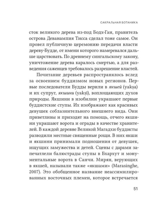 Дополнительное изображение книги «Неизвестный Будда»