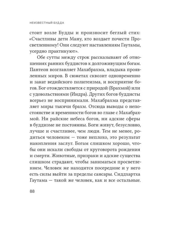 Дополнительное изображение книги «Неизвестный Будда»