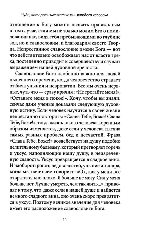 Дополнительное изображение книги «Литургия - жизнь во Христе»
