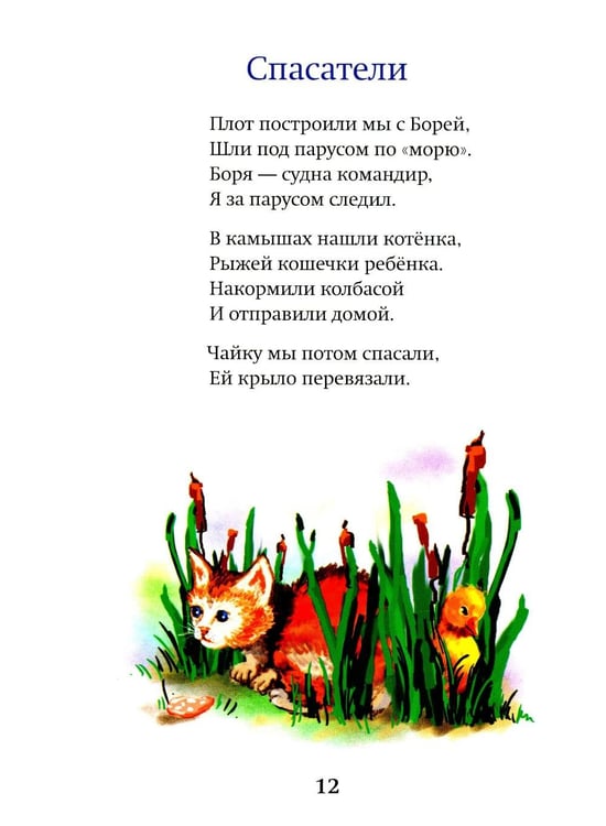 Дополнительное изображение книги «Небесные веснушки»
