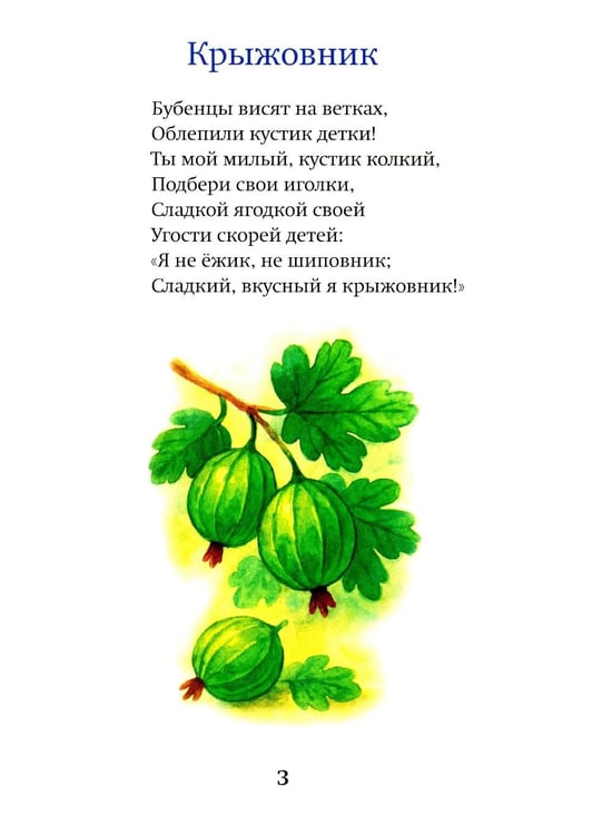 Дополнительное изображение книги «Небесные веснушки»