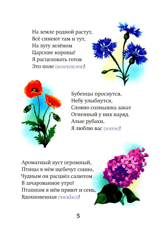 Дополнительное изображение книги «Небесные веснушки»