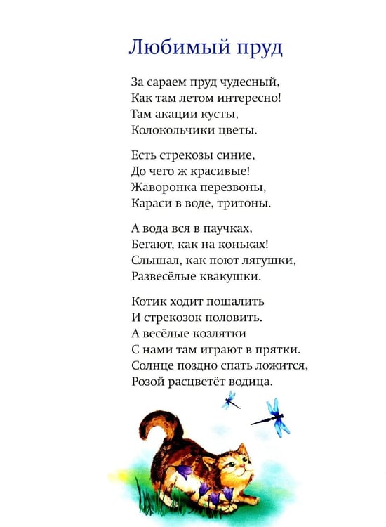 Дополнительное изображение книги «Небесные веснушки»