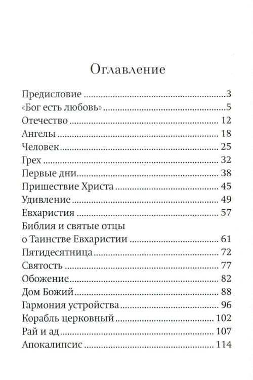 Дополнительное изображение книги «Зачем? Разговор с сомневающимися»