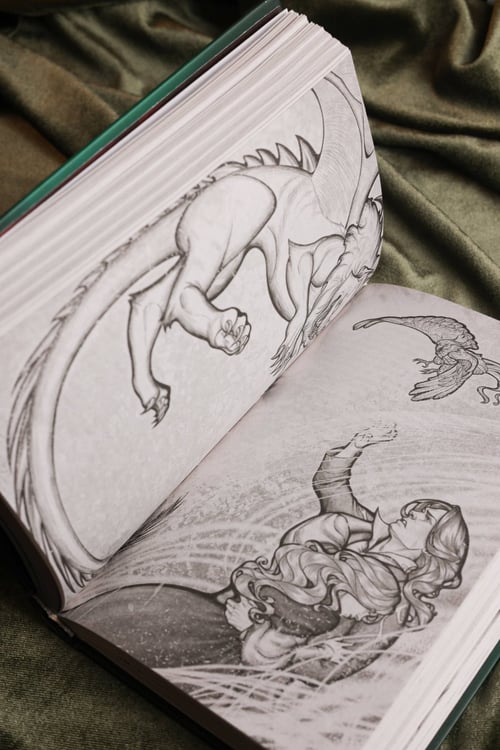 Дополнительное изображение книги «Не драконьте короля! Книга третья»