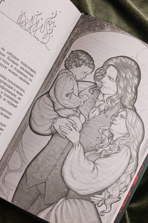Дополнительное изображение книги «Не драконьте короля! Книга третья»