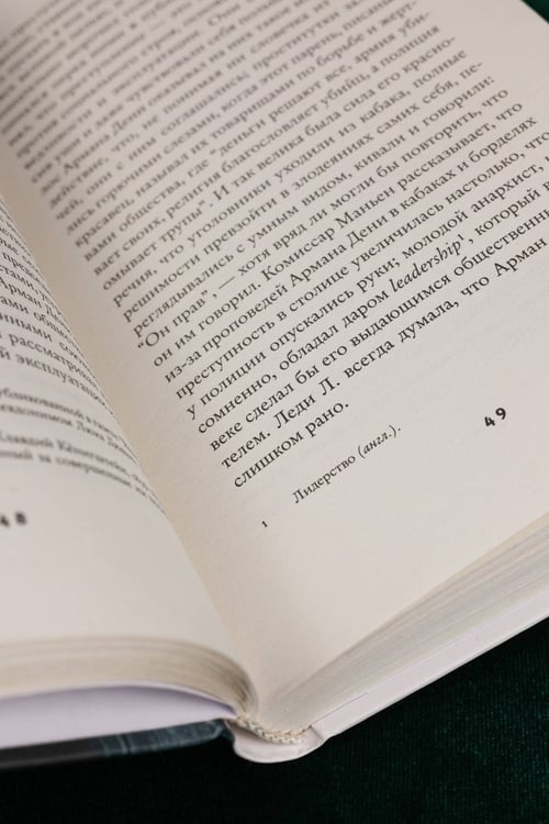 Дополнительное изображение книги «Леди Л.»