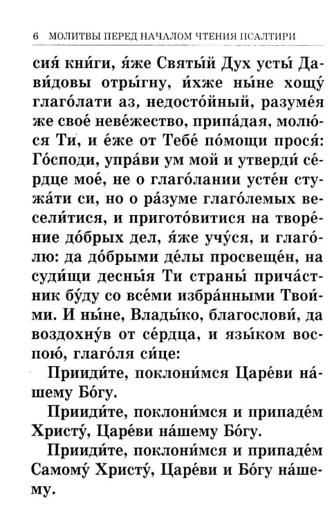 Дополнительное изображение книги «Псалтирь крупным шрифтом (пер.)»
