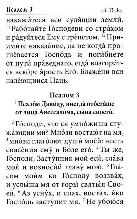 Дополнительное изображение книги «Псалтирь. Давида пророка и царя песнь»