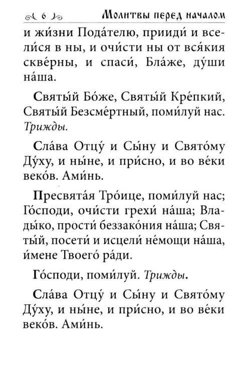 Дополнительное изображение книги «Псалтирь. Давида пророка и царя песнь»