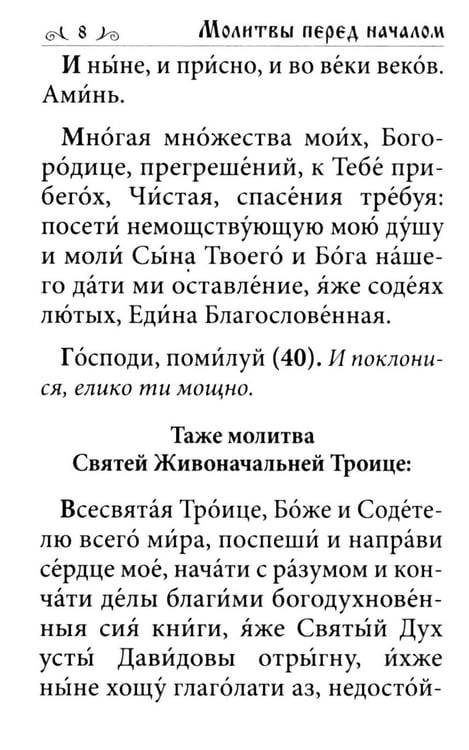 Дополнительное изображение книги «Псалтирь. Давида пророка и царя песнь»